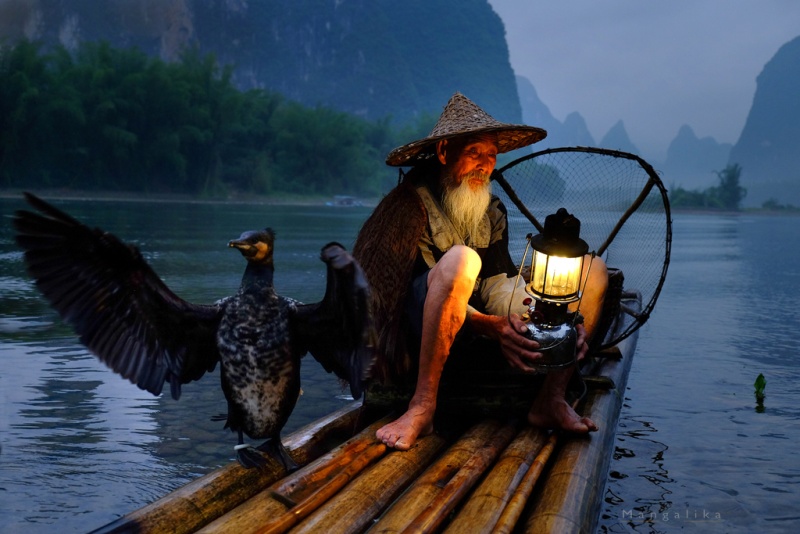  Other than the iconic hills Yangshuo has been also a home to many Chinese Cormorant fishermen. It is an ancient and unusual tradition where people go fishing with trained cormorants.