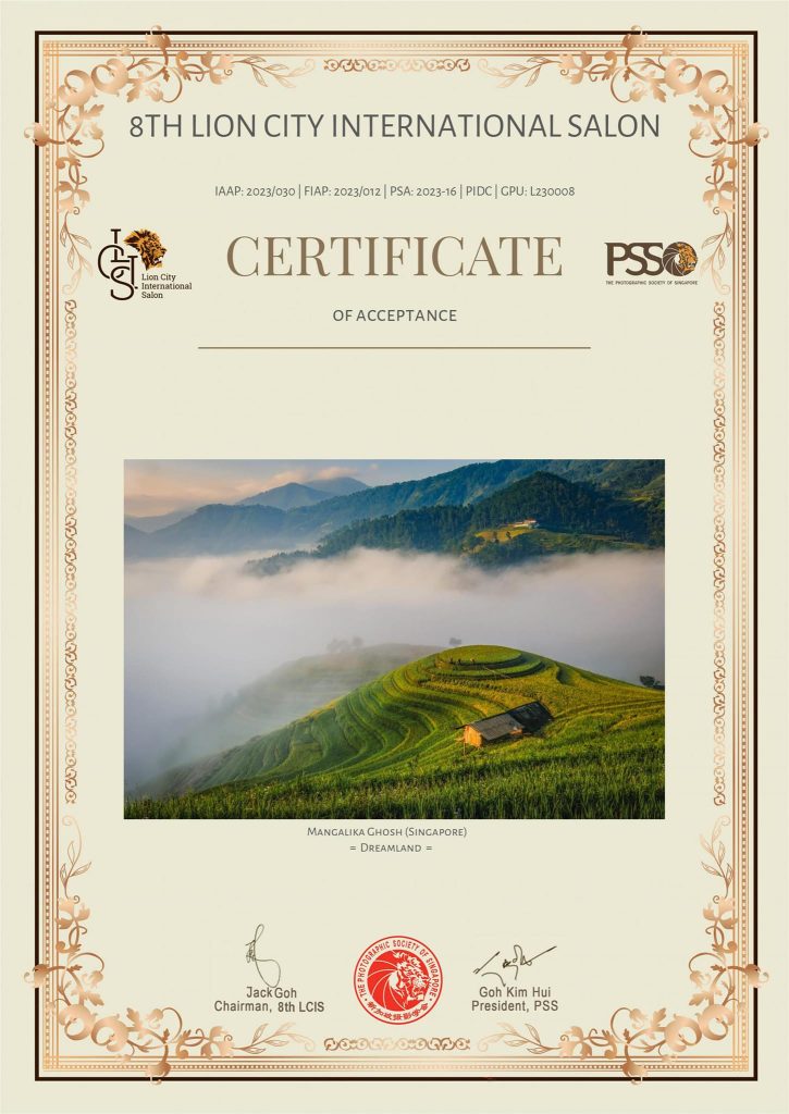 8th Lion City International Salon - Certificate of Acceptance