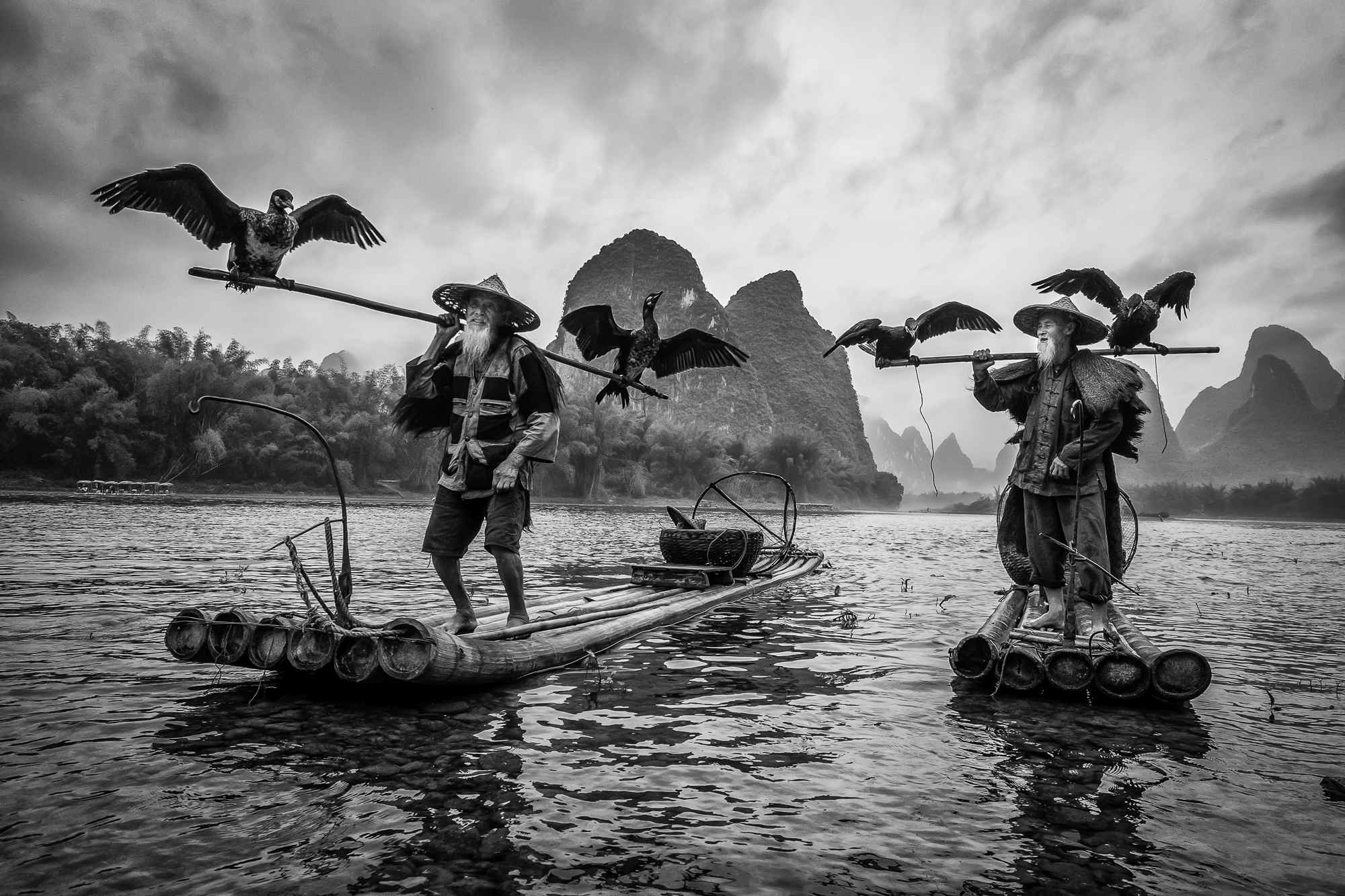 Cormorant fishermen